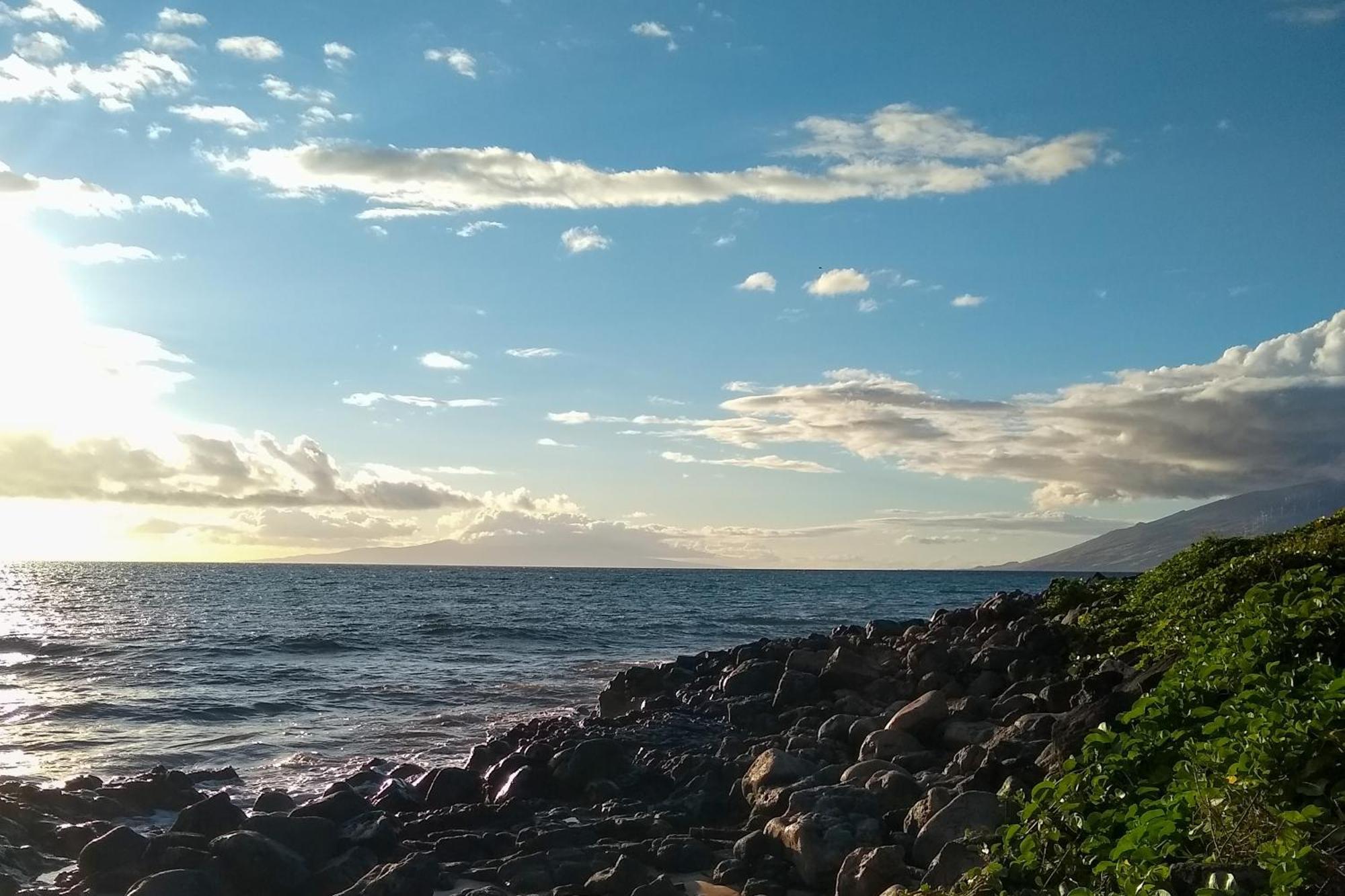 Вилла Maui Banyan Уэйлея Номер фото