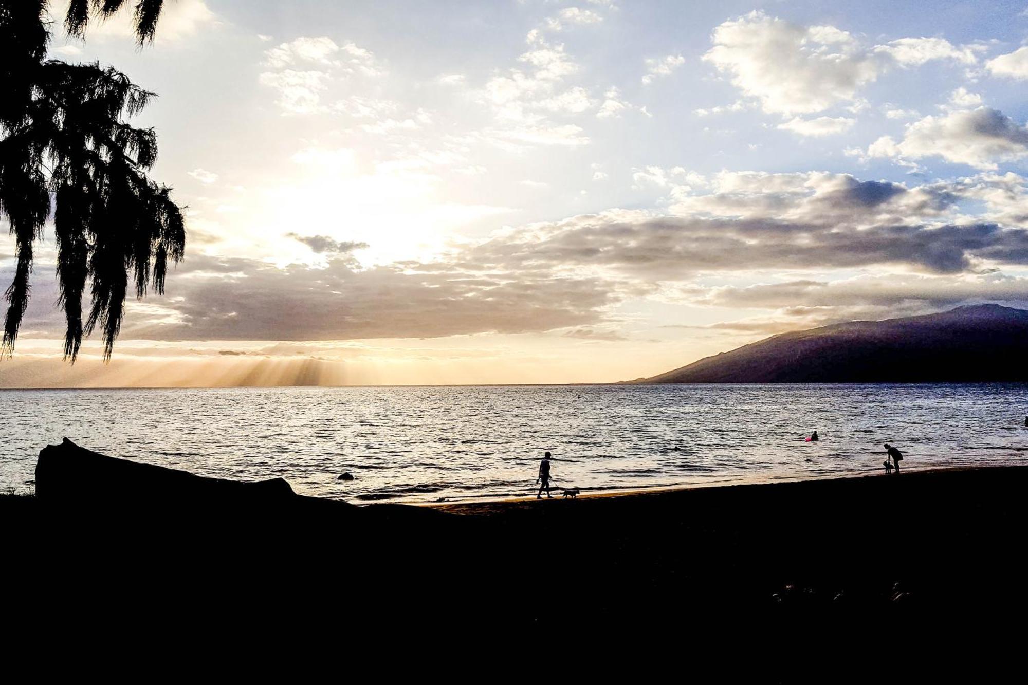 Вилла Maui Banyan Уэйлея Номер фото